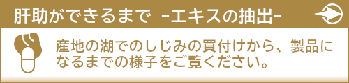 肝助ができるまで